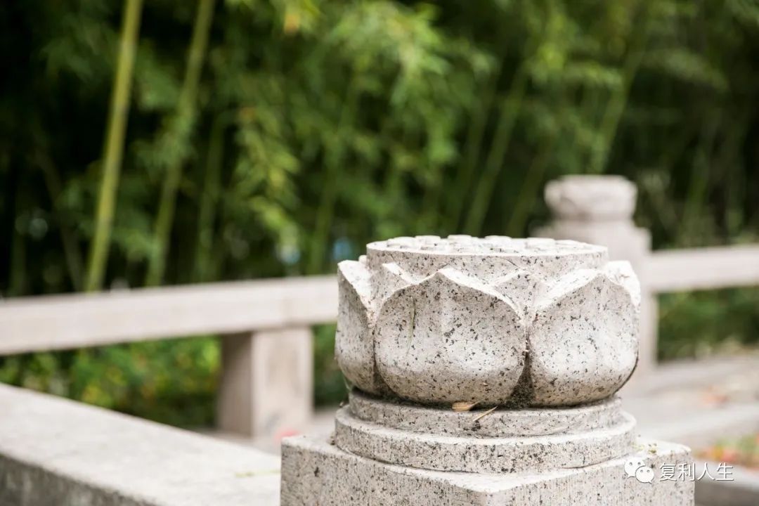 今年是中证500的牛市