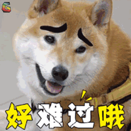 花呗还款逾期20天了,我会被马爸爸告么?-第2张图片-牧野网 花呗还款逾期20天了,我会被马爸爸告么?-第2张图片-牧野网