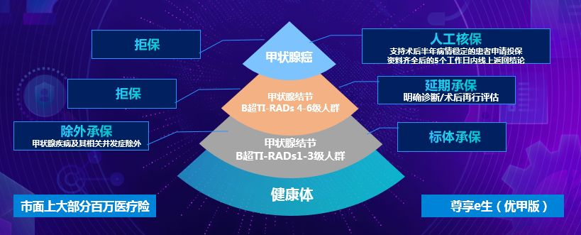 众安尊享e生优甲版怎么样?与臻爱百万医疗险(甲状腺特别版)哪个好?-第9张图片-牧野网 众安尊享e生优甲版怎么样?与臻爱百万医疗险(甲状腺特别版)哪个好?-第9张图片-牧野网
