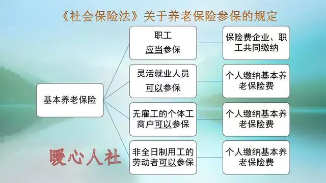 公司缴纳社保和个人缴纳社保有哪些不一样?-第1张图片-牧野网 公司缴纳社保和个人缴纳社保有哪些不一样?-第1张图片-牧野网