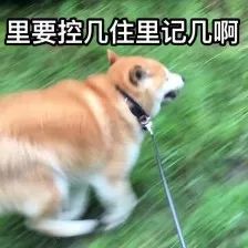 这张交通银行沃尔玛信用卡商超神卡,3大权益调整了!-第9张图片-牧野网 这张交通银行沃尔玛信用卡商超神卡,3大权益调整了!-第9张图片-牧野网