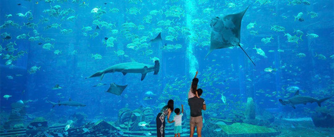 免费获得复游会的金卡会籍的两个渠道-第7张图片-牧野网 免费获得复游会的金卡会籍的两个渠道-第7张图片-牧野网