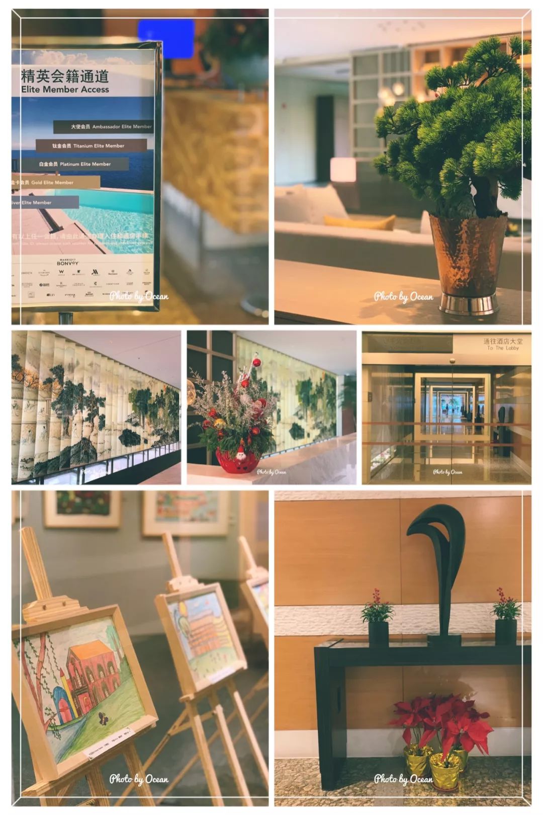 免费获得复游会的金卡会籍的两个渠道-第10张图片-牧野网 免费获得复游会的金卡会籍的两个渠道-第10张图片-牧野网