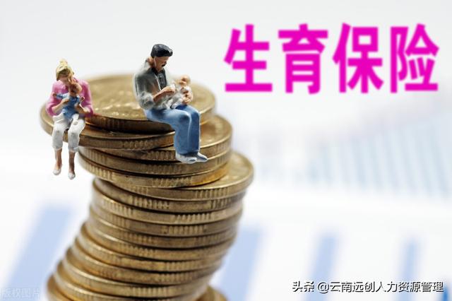 (生育金怎么算计算公式)生育金是怎么领取的?-第1张图片-牧野网 (生育金怎么算计算公式)生育金是怎么领取的?-第1张图片-牧野网