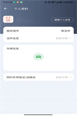 C20司机端app截图3