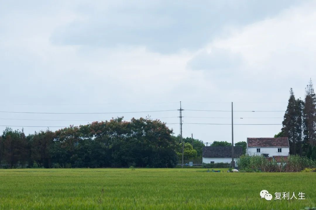 科创50持续上升，抓住科技股是关键-第1张图片-牧野网