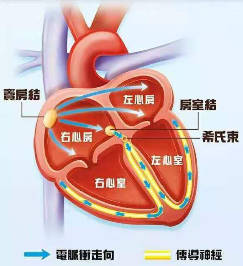 心电图检查异常还能买商业保险吗？-第1张图片-牧野网