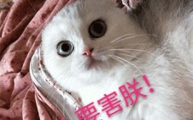 倒吸凉气，同名同姓同身份证号被贷款！