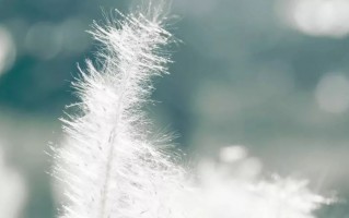 [信用卡还不上怎么办]信用卡逾期多久会上征信？