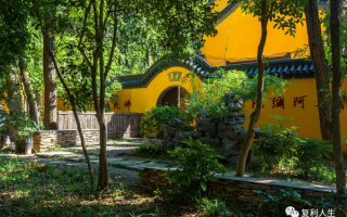 恐慌性大跌应该怎么办？
