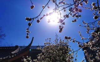 现在有什么好的理财产品?收益4%+极具性价比的银行存款要上车吗？