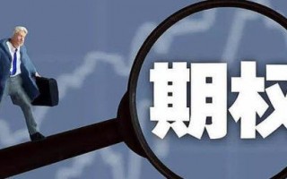 (期权是什么意思)期权在生活中的应用