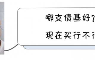 什么债券基金好？挑选债券基金有啥秘籍？