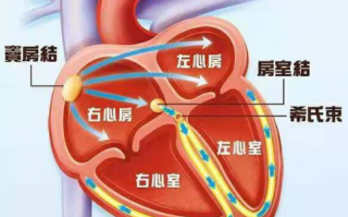 心电图检查异常还能买商业保险吗？
