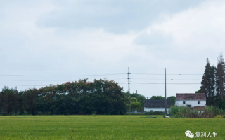 科创50持续上升，抓住科技股是关键