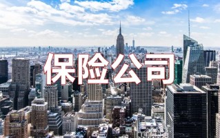 想买保险，哪家保险公司更靠谱？