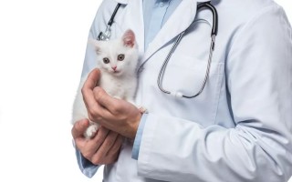 哪些新兴职业比较有钱景？