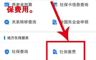 (交社保在手机上怎么交)支付宝怎么交社保？