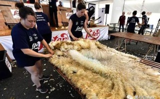 银行是怎么用信用卡赚钱的？