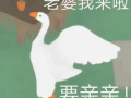 白酒板块的下跌 是因为842亿规模的招商白酒要分红？