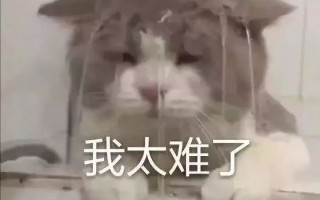 医保卡报销和消费有啥需要了解的？