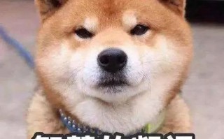 打新股有什么技巧？打新门票股怎么选？