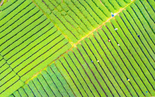 农村信用社贷款的申请流程是什么？需要哪些材料？