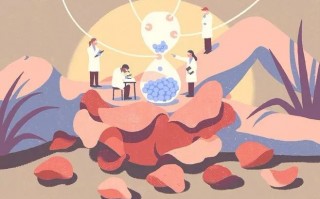 无锡高架桥事故，如果不幸哪种保险可以赔？