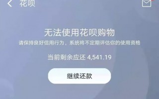 花呗怎么还？这样用小心你的账户被冻结