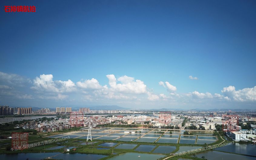 [公积金贷款能贷多少]东莞公积金可贷款额度调整 你还能贷多少？-第6张图片-牧野网