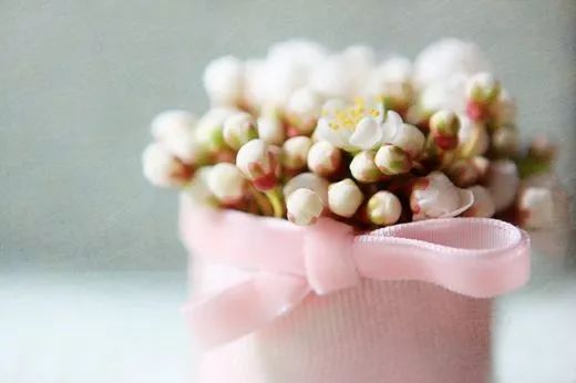 新人如何选择自己的第一张信用卡？-第5张图片-牧野网