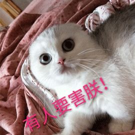 倒吸凉气，同名同姓同身份证号被贷款！-第1张图片-牧野网