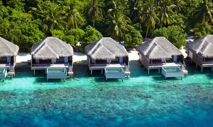 Dusit-都喜国际酒店顶级会籍有哪些权益？如何获取？-第8张图片-牧野网