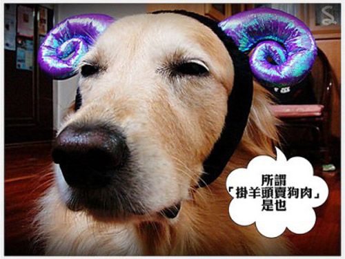借6000还120万，你是怎么被套路贷宰的？