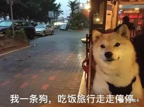 最全信用卡免费接送机权益,又多了几次-第1张图片-牧野网 最全信用卡免费接送机权益,又多了几次-第1张图片-牧野网