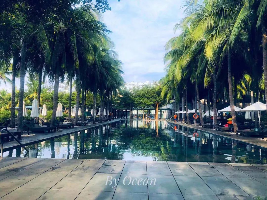 洲际成为热点，其实还有更重要的-第2张图片-牧野网