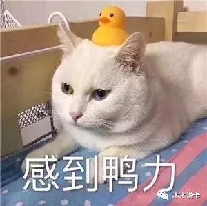 广发钻石无限卡，最强权益汇总！-第2张图片-牧野网
