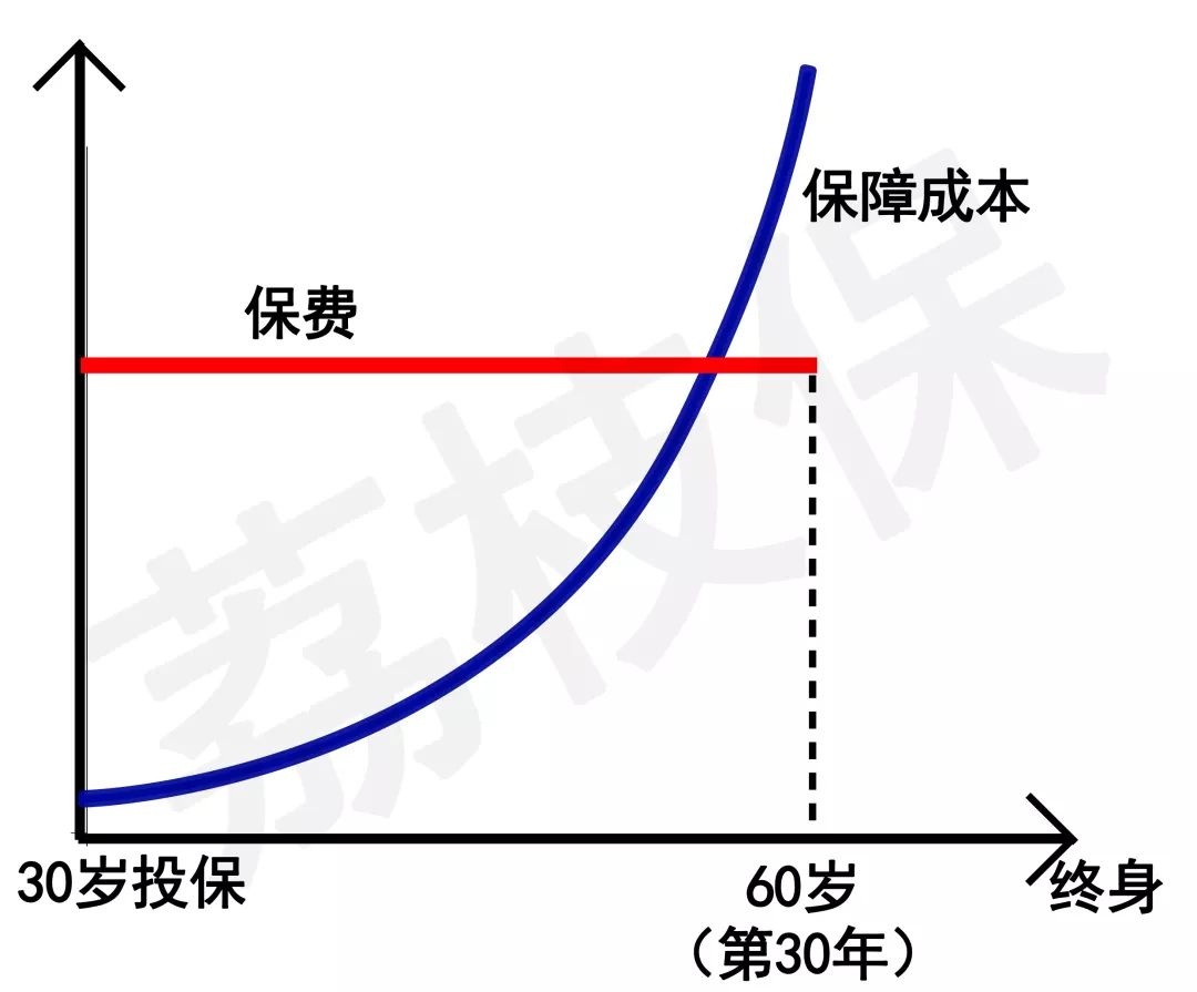 消费型保险为啥能返本？-第3张图片-牧野网
