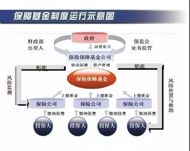 保险公司会破产倒闭吗？-第5张图片-牧野网