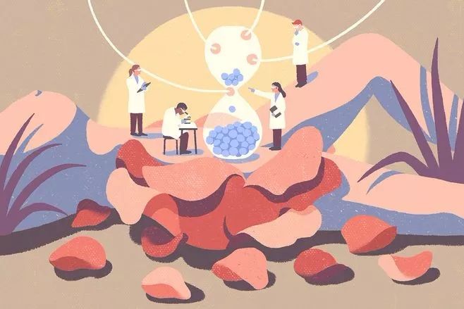 无锡高架桥事故，如果不幸哪种保险可以赔？