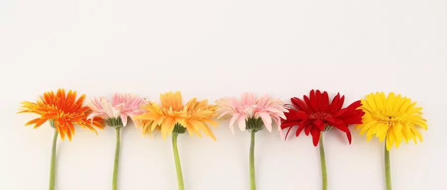 得了焦虑症，还能买保险吗？-第1张图片-牧野网