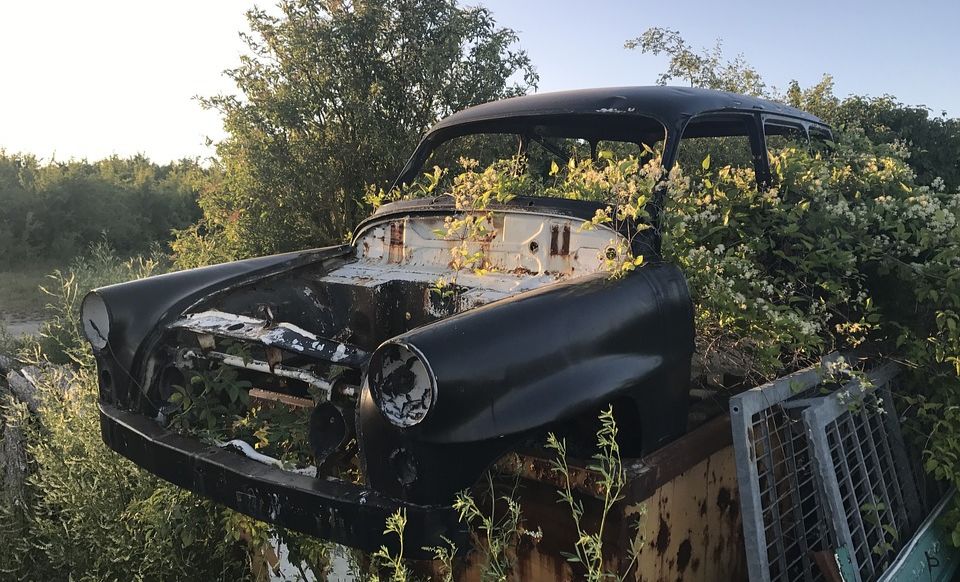 成人如何配置意外险？交通意外，要买驾乘意外险吗？-第1张图片-牧野网