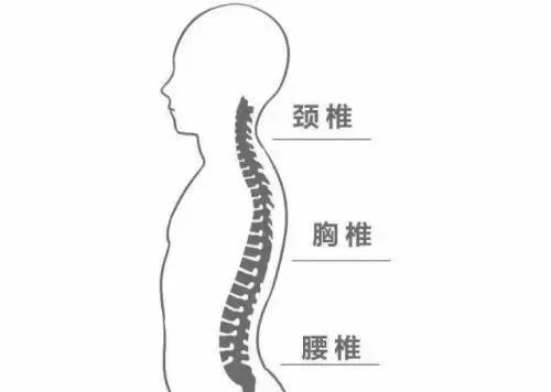 富贵包越变越大，怎么回事？如何改善？-第3张图片-牧野网