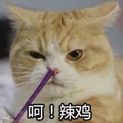 买保险有哪些坑？如何防止买保险被坑？-第2张图片-牧野网