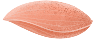 8款少儿重疾险评测，哪款最适合你？-第11张图片-牧野网