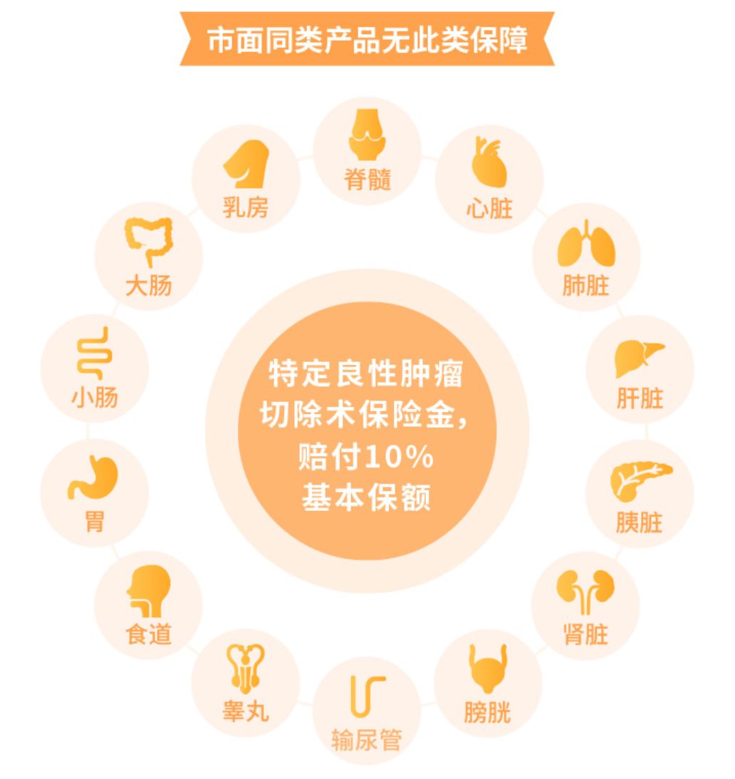 和泰超级玛丽2020有哪些保障？性价比高吗？-第6张图片-牧野网