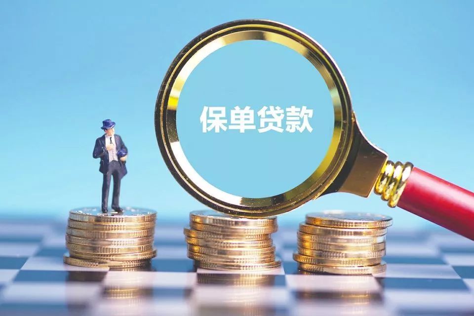 什么是保险的现金价值？保险现金价值有什么作用？-第6张图片-牧野网