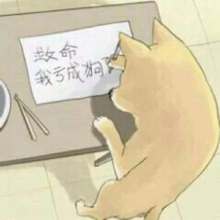 平安福重疾险为什么拒赔？-第6张图片-牧野网
