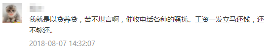 那些“以贷养贷”的人，后来都怎么样了？-第1张图片-牧野网