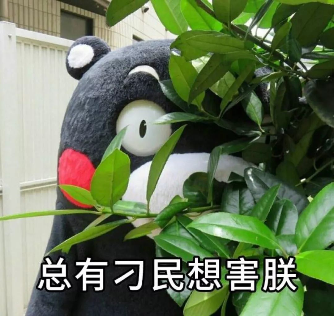 医保门诊费用能报销多少钱？自己花的钱，花在哪里？-第1张图片-牧野网